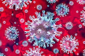 14 patients die of Covid-19 