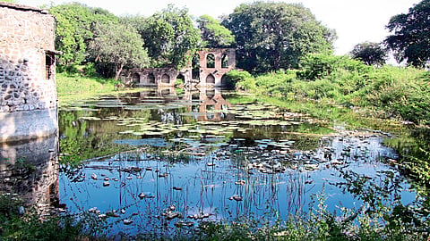  औरंगाबाद : हिमायतबागेतील तुडूंब भरलेली इतिहासकालीन शक्‍कर बावडी. 