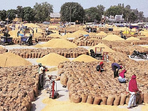 farm commodity.jpg
