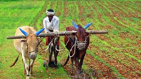 related to farming policy online reporting to directly to officers in ratnagiri the new pattern in konkan