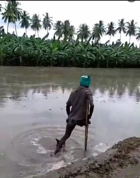 farmer.