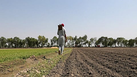 farmer nashik 1.jpg