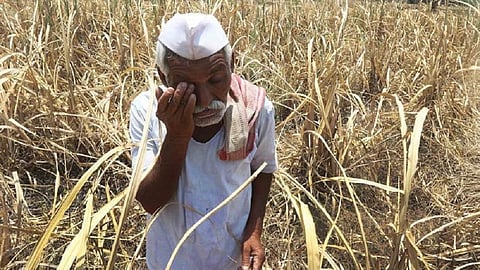 farmers-7592.jpg
