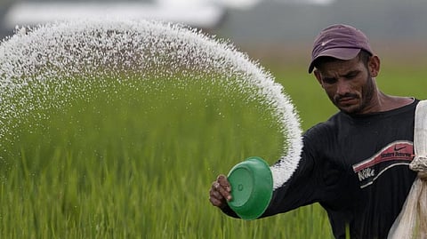 fertilizers