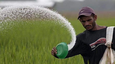 fertilizers