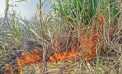 Fire four acres of sugarcane field; Two incidents in Nerle