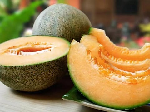 These things spoil quickly in the fridge Do not use for more than a day