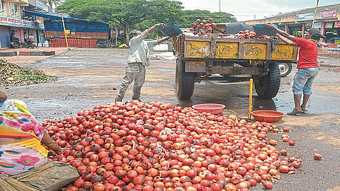 After eight days the fruit market started picking up trash
