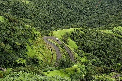 Money for tourism development; Not for rehabilitation: Sanctuary victims question the government