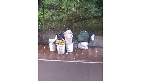 garbage.jpg
