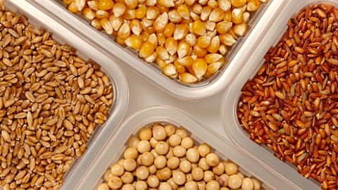 grain