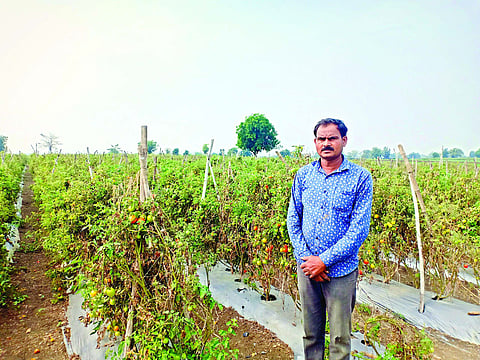 Pramod Aashtankar modern experiments in agriculture is worth lakhs Farmers news