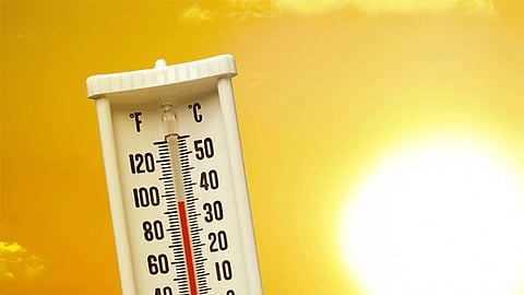 There was a heat wave in Konkan matrathi news 