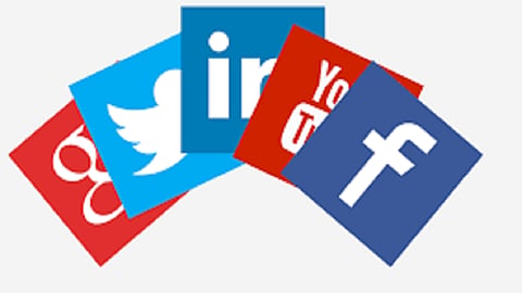 Support for the mango of social media sales kokan marathi news