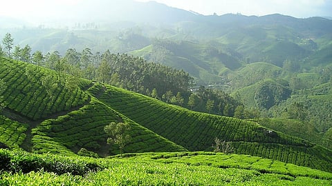  Keep the environment, you have to take care of it