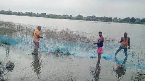 jalna matsya.jpg