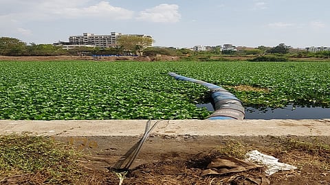 jalparni alandi.