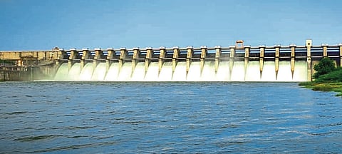 jayakwadi dharan1