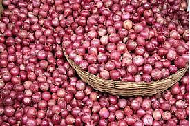 In more than four lakh tonnes of onions