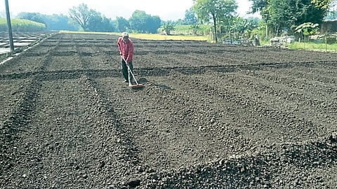 माण तालुक्यातील शेतकऱ्यांवर दुबार पेरणीचे संकट