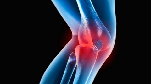 knee