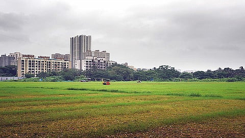 land