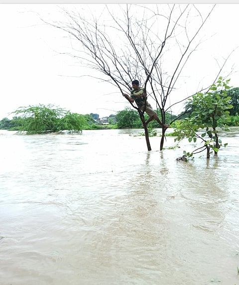file photo