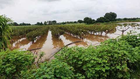 mahapur