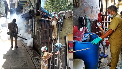 कोरोना काळात आली गुडन्यूज, गेल्यावर्षीच्या तुलनेत यंदा पावसाळी आजार नियंत्रणात !
