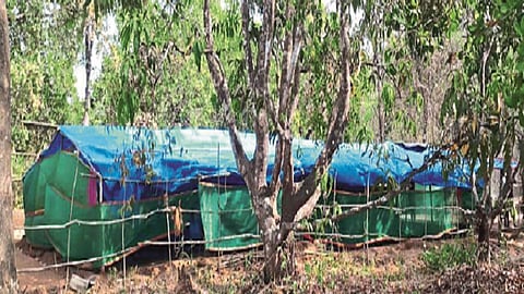 Where is the red carpet in Konkan for the MUMBAIKARS........ read