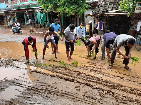  कुही  : ग्रामपंचायत प्रशासनाचा निषेध म्हणून मांढळच्या रस्त्यावर रोवणी करताना युवक. 