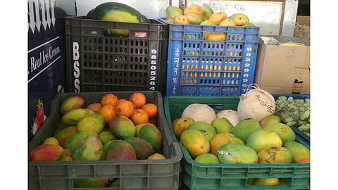 mango.jpg