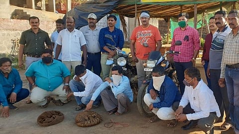 pangolin smuggling in khed six person arrested by police ratnagiri