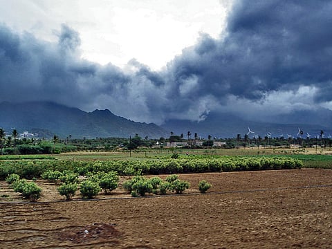 Monsoon in Vidarbha in the third week of June