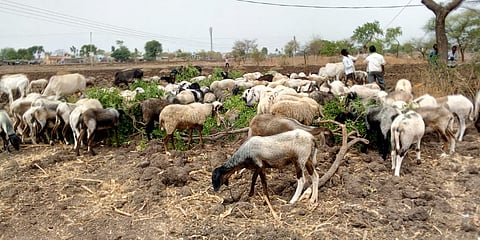 File photo