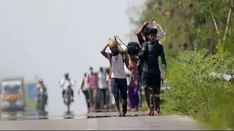 migrants 1.png