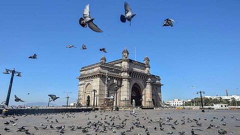 कोरोनामुळे आपल्या आसपास झालेत 'हे' चांगले बदल; बातमी वाचाल तर छान वाटेल... 