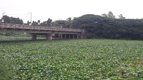 mutha river.jpg