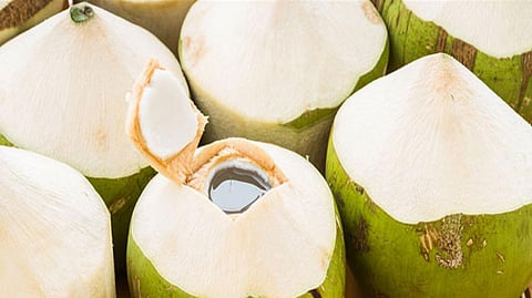 Coconut price hike due to petrol-diesel prices rising