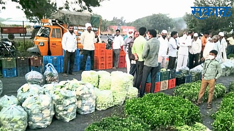 ‘हिराई’ने आणली हिरवाई...;भाजीपाला उत्पादन ते विक्रीत महत्वाचा दुवा