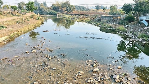 Satara Latest Marathi News