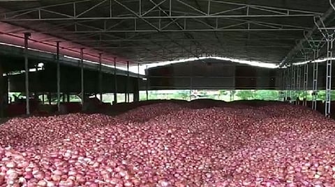 onion export 