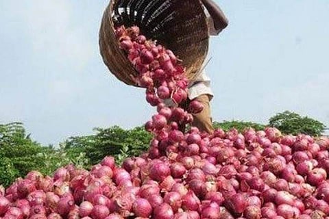 onion farmer