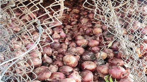 onion theft