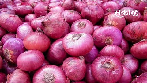 MLA Rohit Pawar's meticulous planning is underway to make the farmers of Karjat Jamkhed taluka self-sufficient in onion production and to change the economy of the farmers.