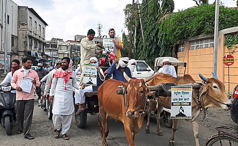 akola outbreak against petrol-diesel price hike, Congress dams, Shiv Sena burns statue of Petroleum Minister