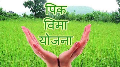 akola washim Pradhan Mantri Pik Bima Yojana