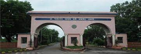 pkv