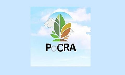 pocra.jpg