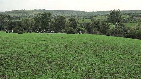 पिंपळगाव रेणुकाई :  बहरलेल्या निसर्गाच्या वातावरणाचा आनंद घेताना पर्यटक. 